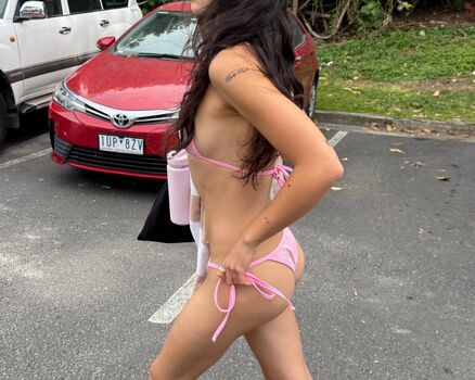 Inas Elashiry