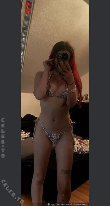 Laxissaxmyr