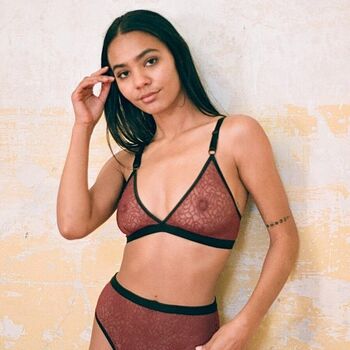 Lingerie And Bikini Model Pics