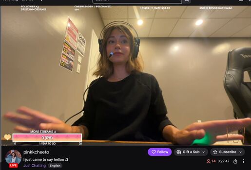 Nerdster1